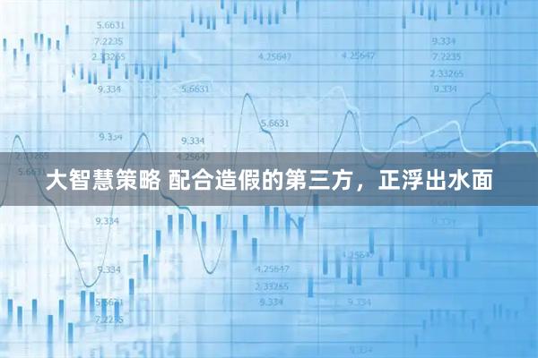 大智慧策略 配合造假的第三方，正浮出水面