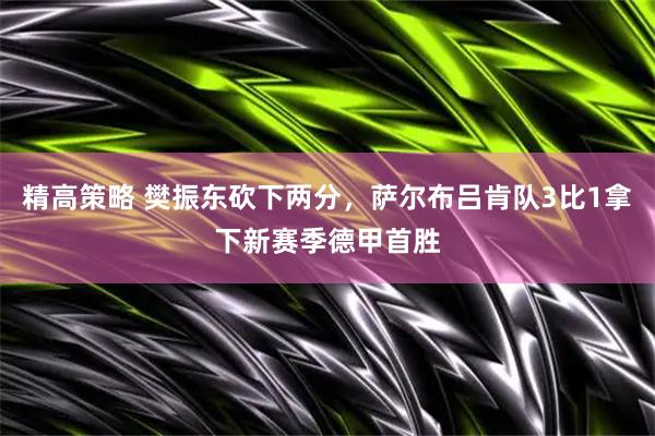 精高策略 樊振东砍下两分，萨尔布吕肯队3比1拿下新赛季德甲首胜