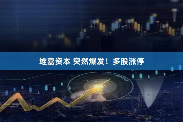 维嘉资本 突然爆发！多股涨停
